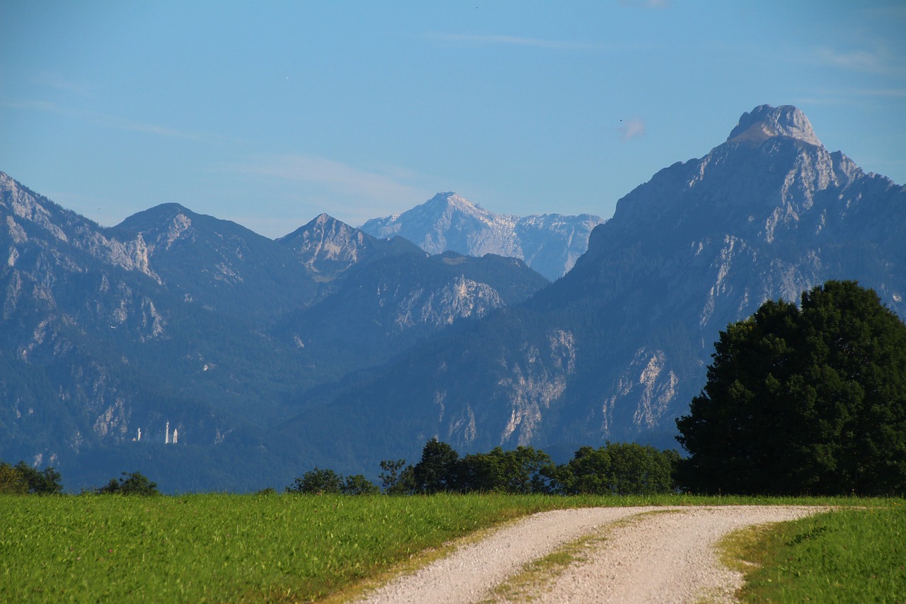 Führungskräfte Coaching in der Natur